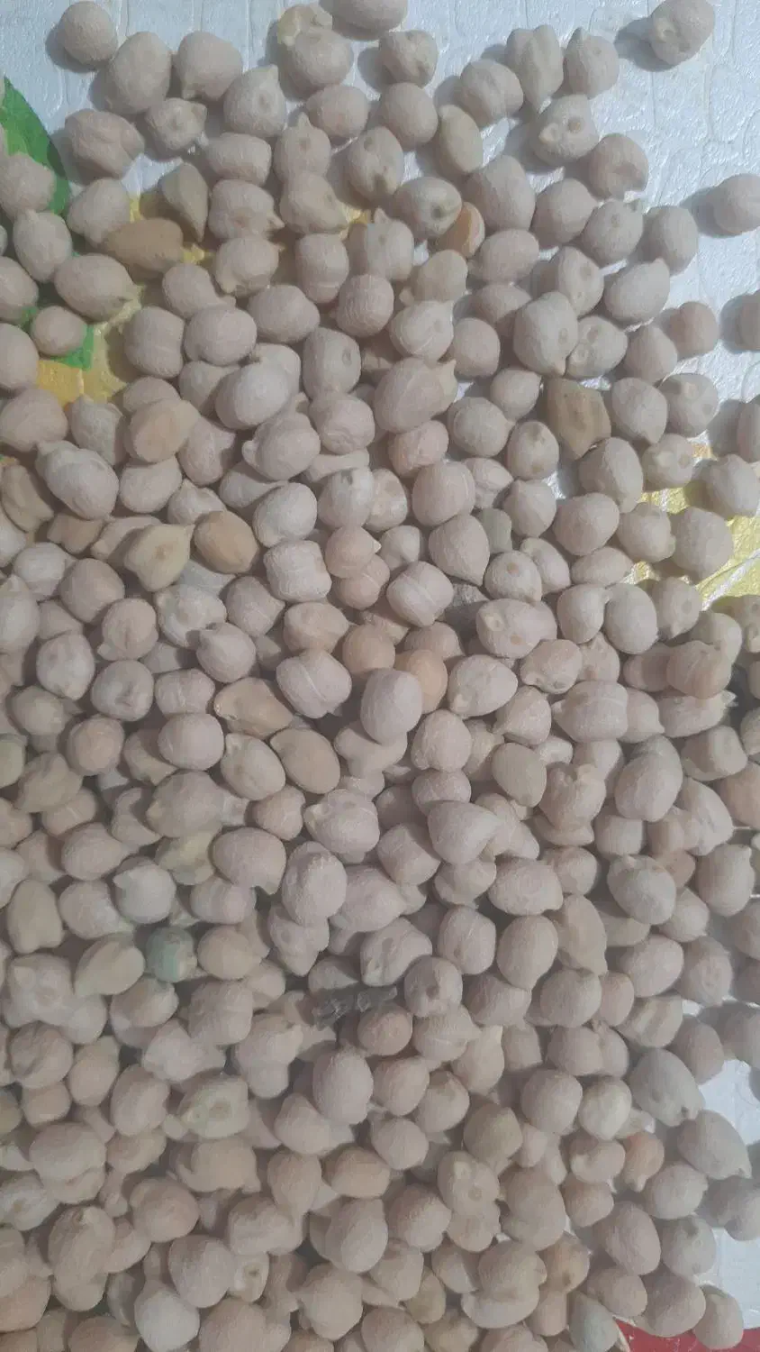 نخود ریز|خوردنی و آشامیدنی|همایجان, |دیوار