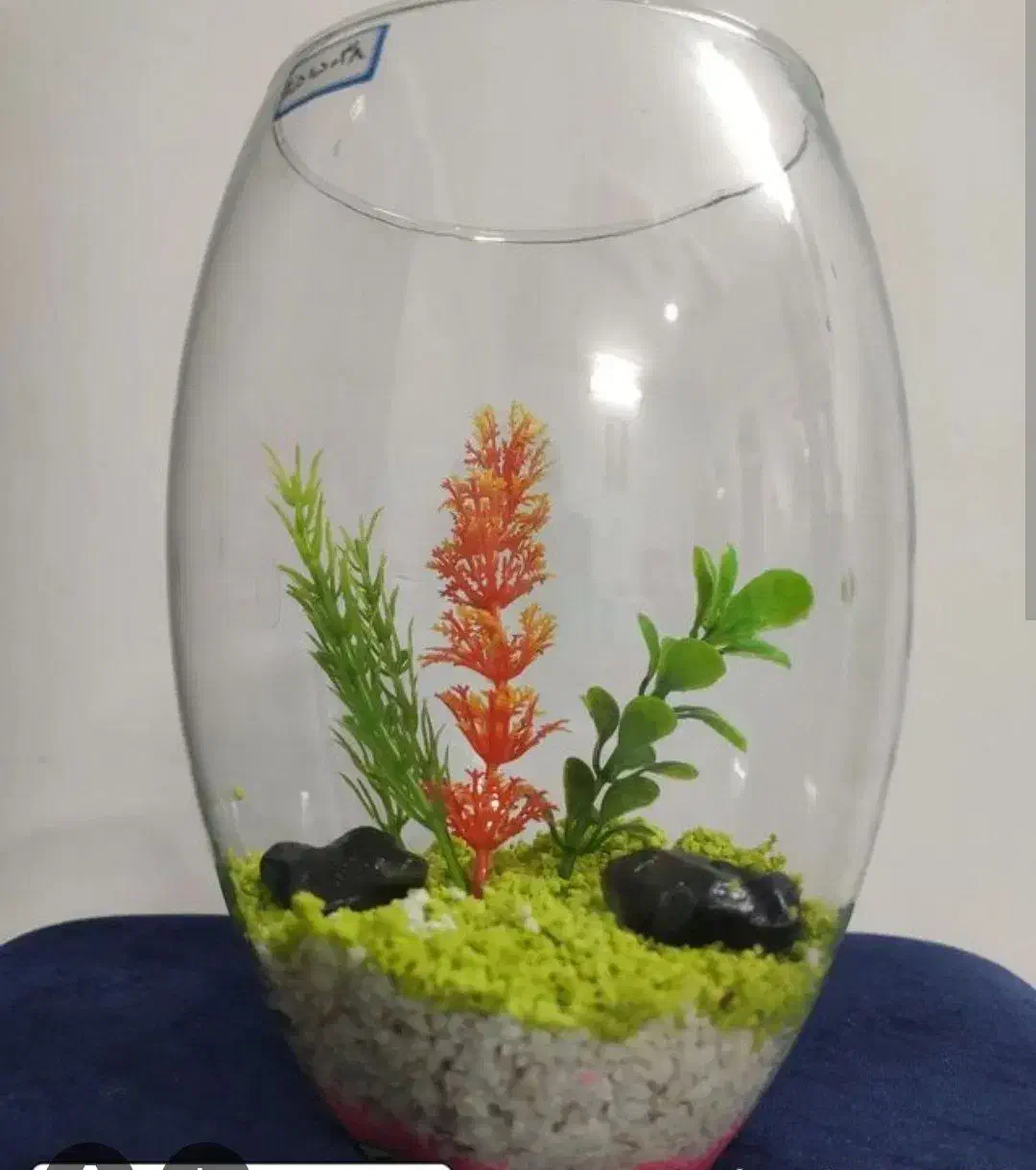 تنگ ماهی عمده|ماهی|قم, صفائیه|دیوار