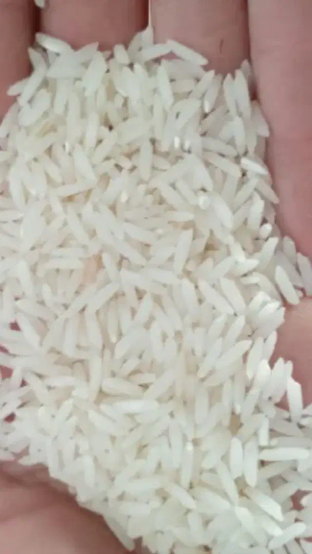 برنج هاشمی استانه درجه ۱|عمده‌فروشی|تهران, تهرانپارس جنوبی|دیوار