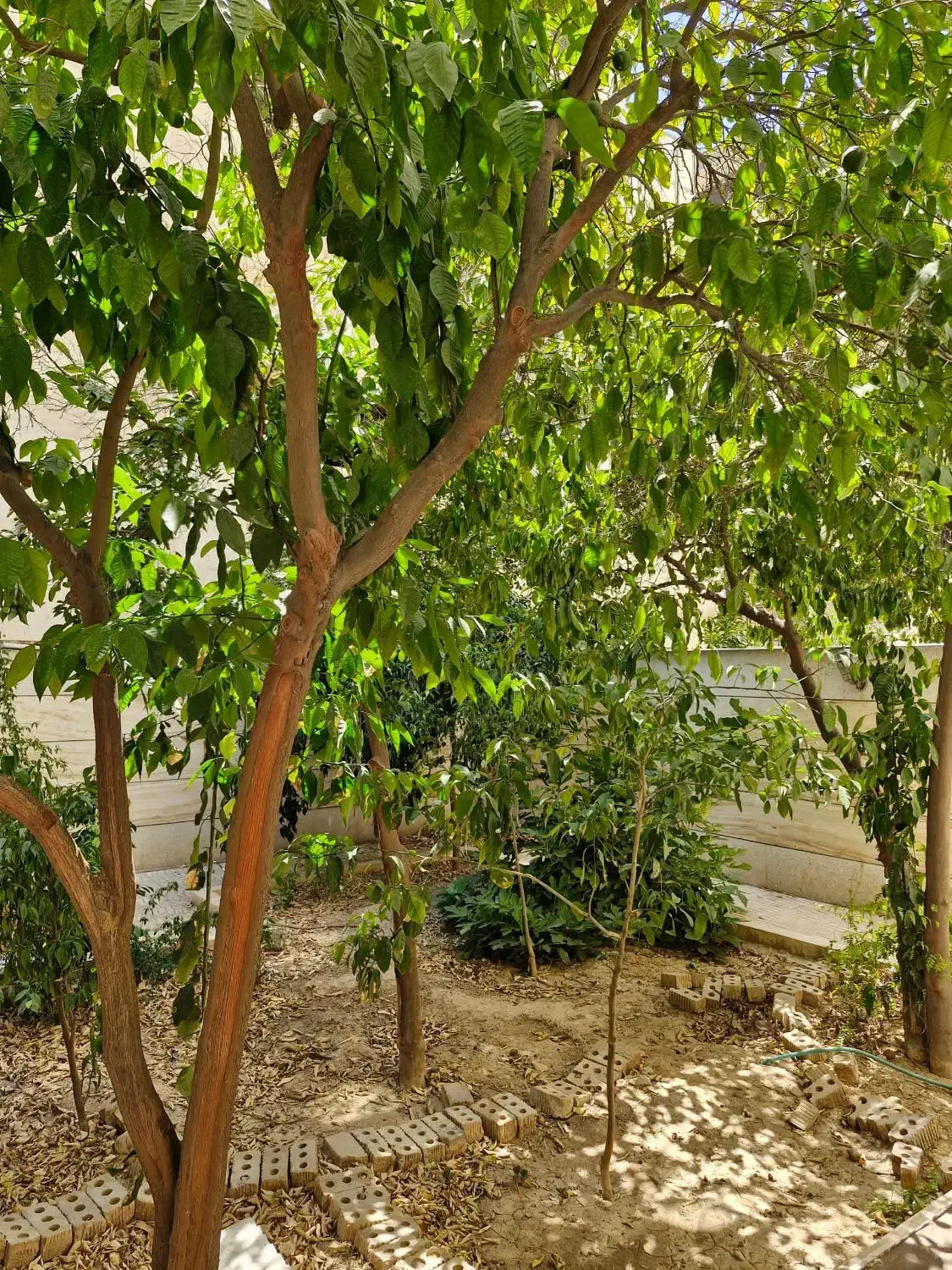سه خوابه مستردارتک واحدی،دوبرنور،سیمتری سینما سعدی|فروش آپارتمان|شیراز, سینما سعدی|دیوار