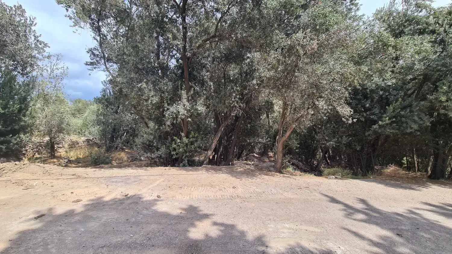 فروش زمین ۲۴۳ متری رودبار الیزه|فروش زمین و ملک کلنگی|رودبار, |دیوار