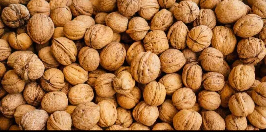 گردو|خوردنی و آشامیدنی|الشتر, |دیوار