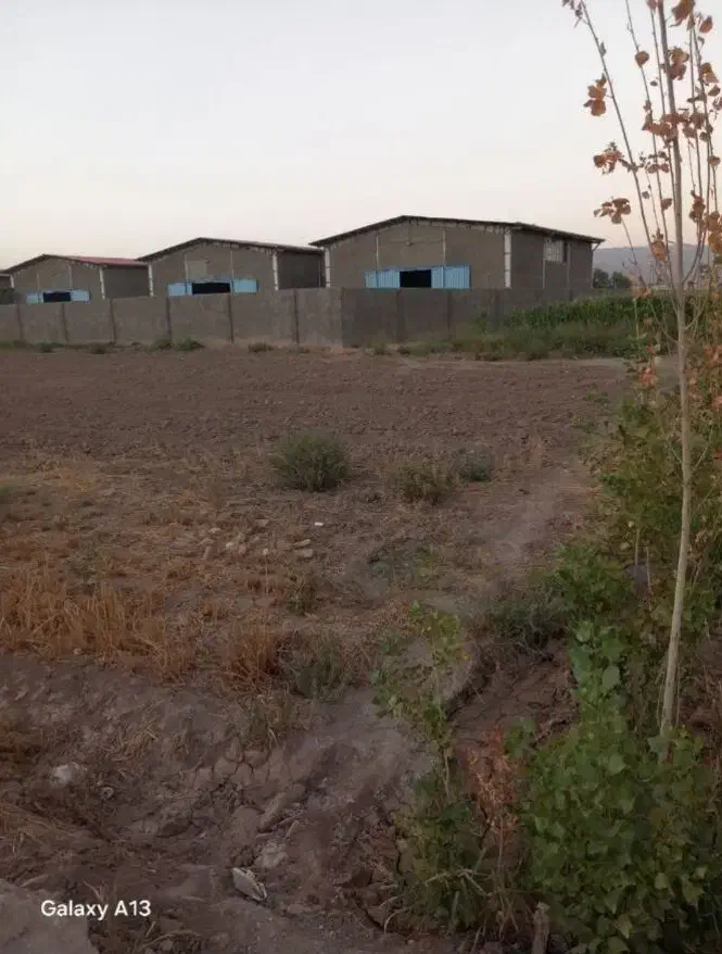 باغچه|اجارهٔ دفتر صنعتی، کشاورزی، تجاری|قلعه نو, |دیوار