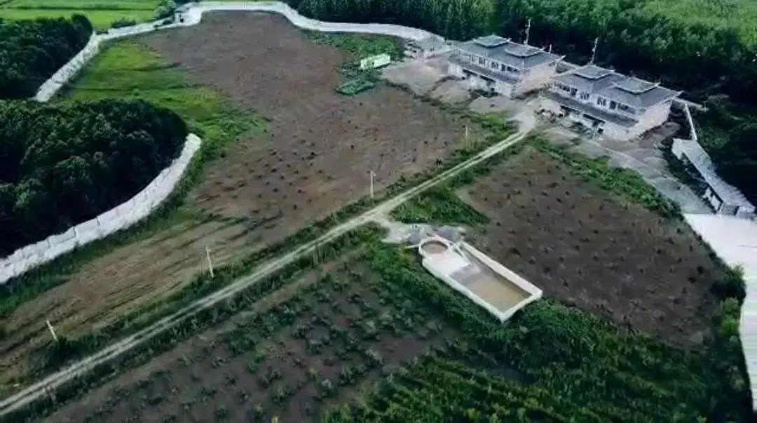 کلیمان رضوانشهر 38000متر زمین با ویلا|فروش خانه و ویلا|رضوانشهر, |دیوار