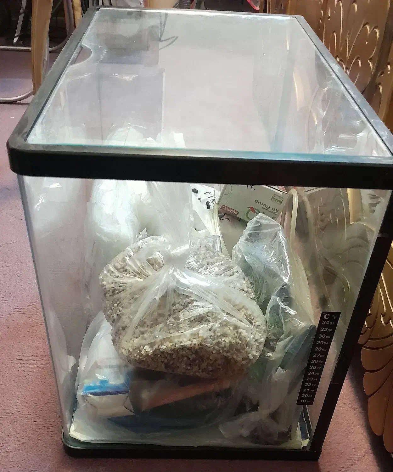 آکواریوم|ماهی|قم, شاه احمد قاسم|دیوار