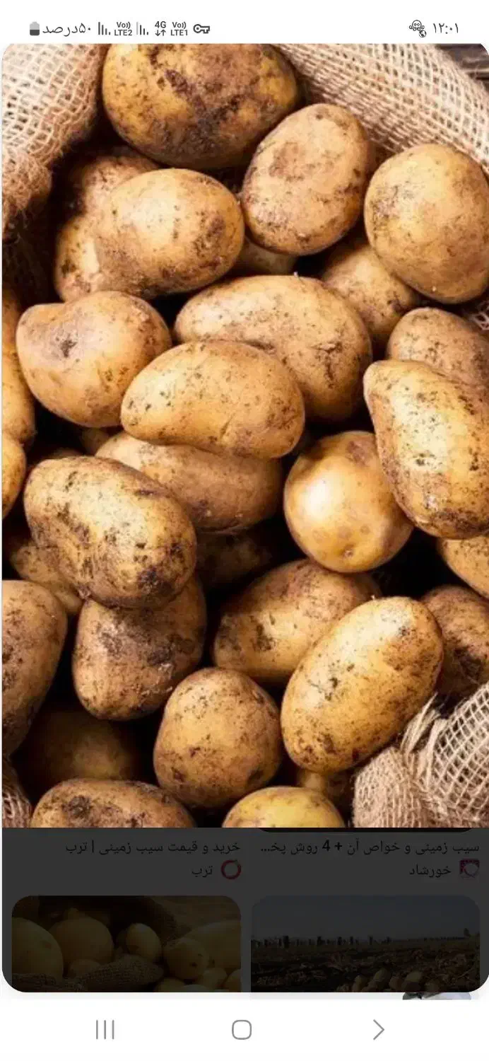 سیب زمینی|خوردنی و آشامیدنی|قم, قلعه کامکار|دیوار