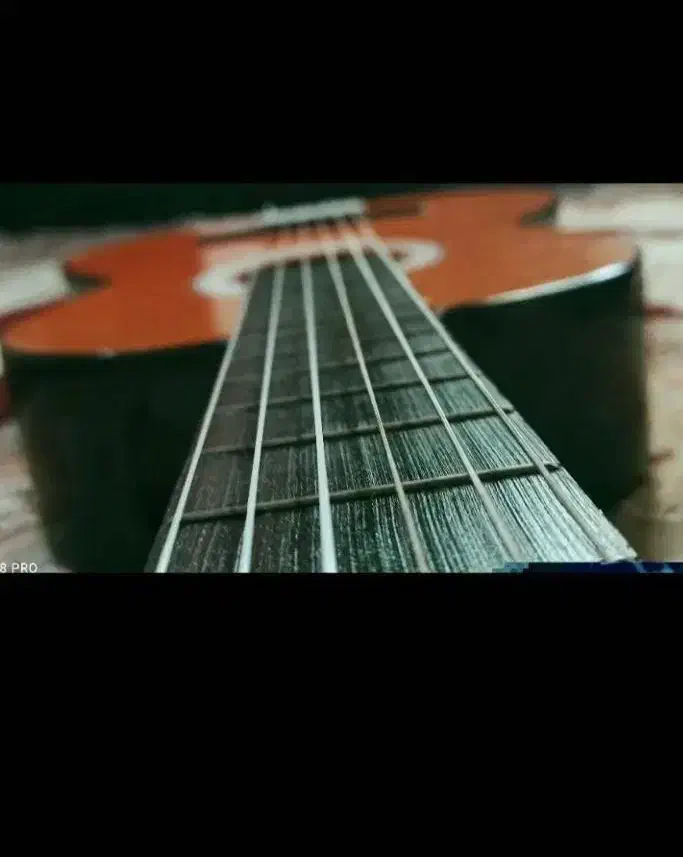 گیتار نو|گیتار، بیس، امپلیفایر|یاسوج, |دیوار