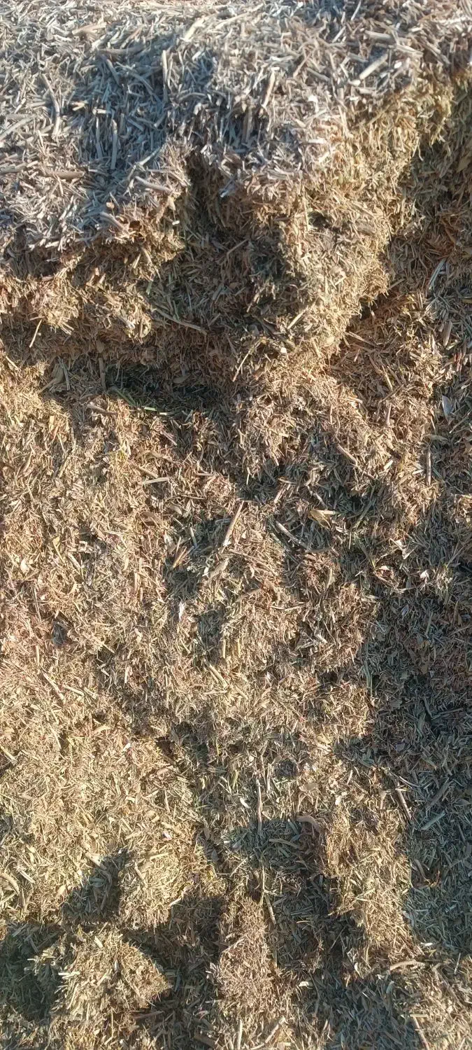 فروش سامان نخود|لوازم جانبی حیوانات|بوکان, |دیوار