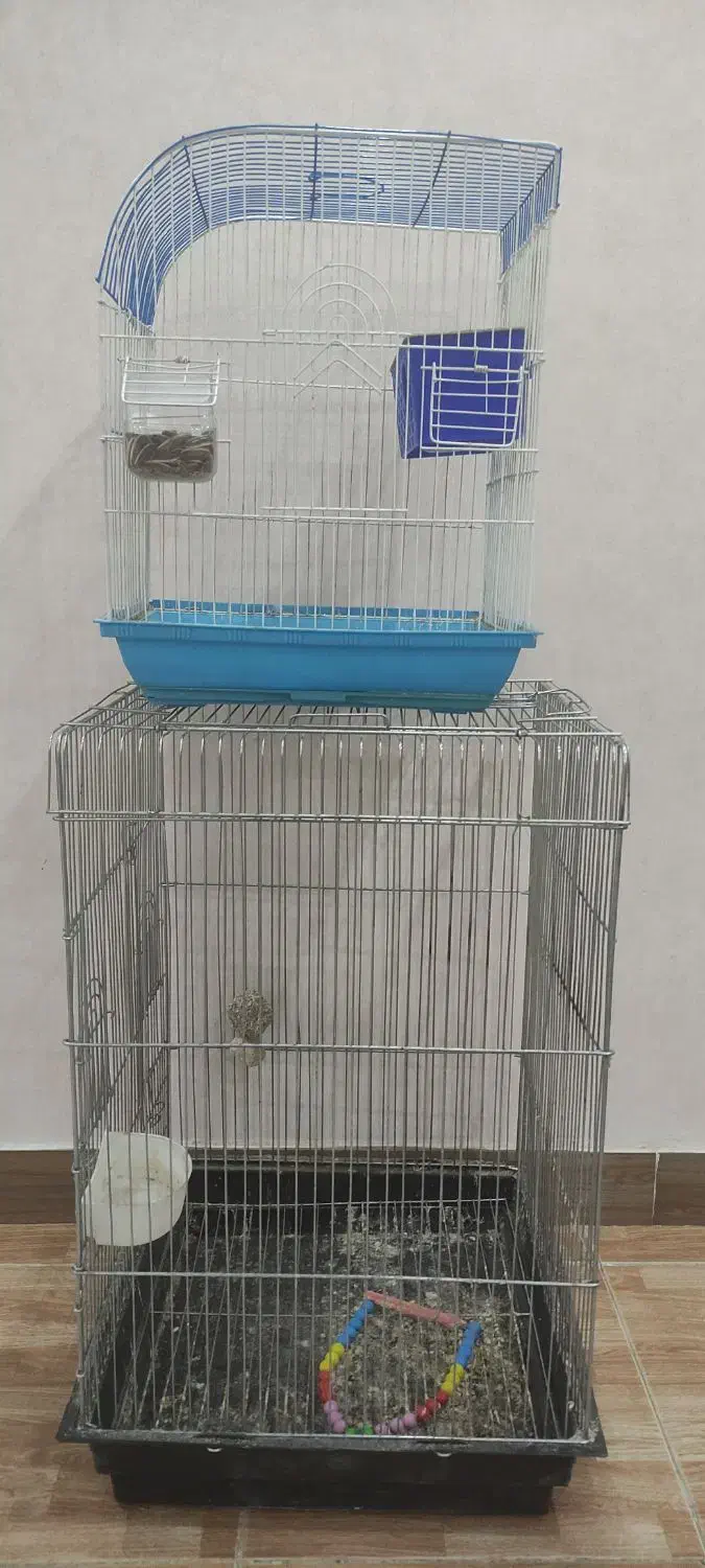 قفس پرنده|لوازم جانبی حیوانات|سنندج, |دیوار