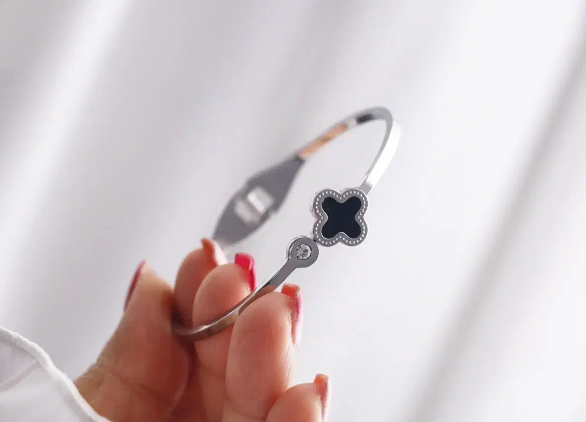 بدلیجات مانی سا|بدلیجات|گناباد, |دیوار