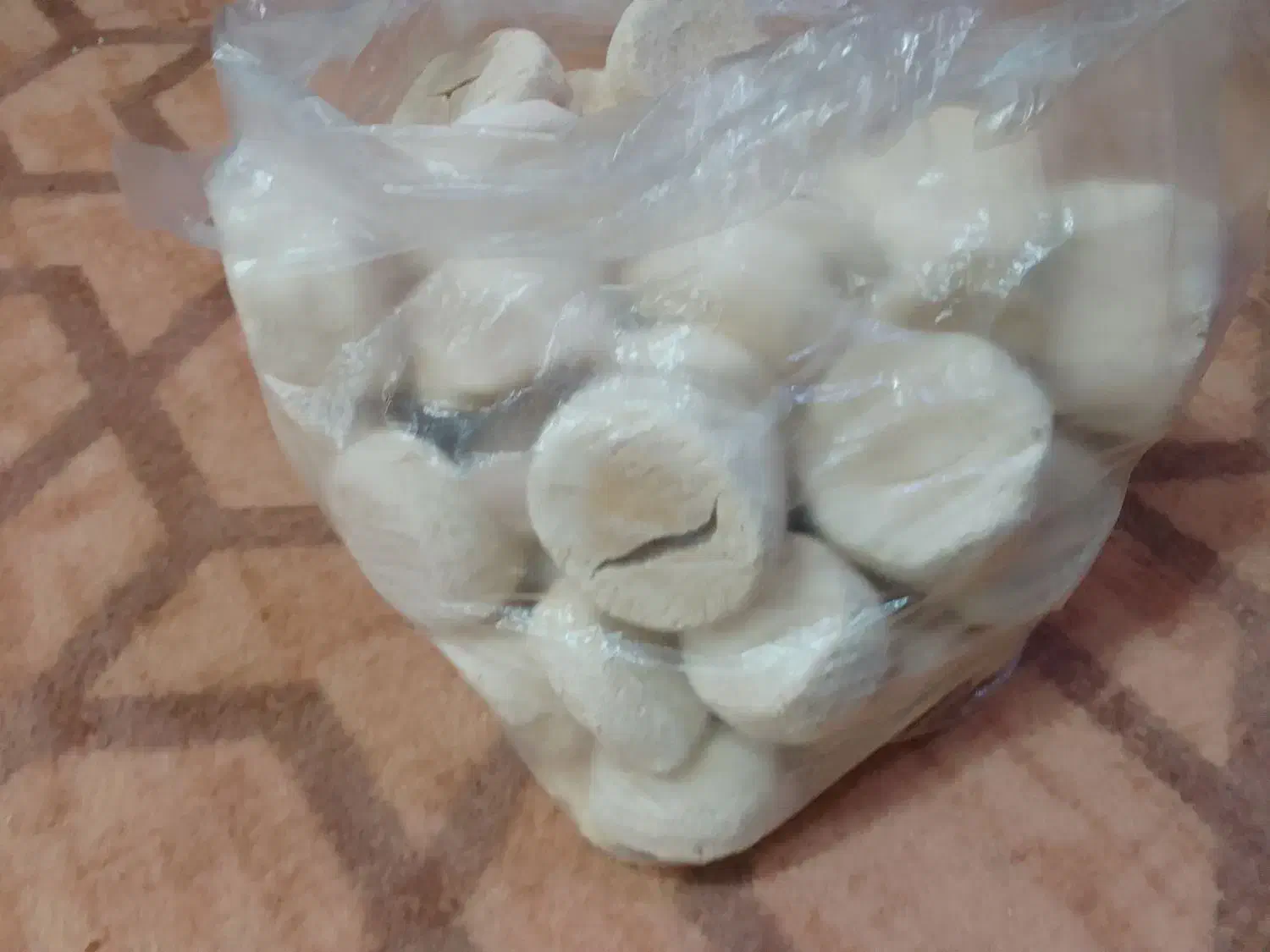 کشک بز شهیون|خوردنی و آشامیدنی|دزفول, |دیوار