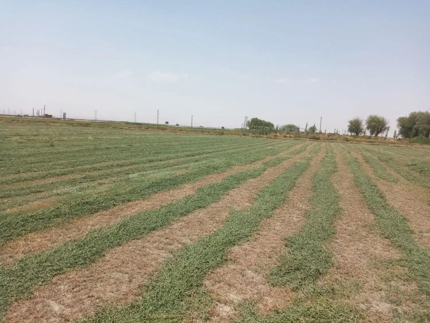 اجاره زمین ابی کشاورزی همدان فامنین|اجارهٔ دفتر صنعتی، کشاورزی، تجاری|فامنین, |دیوار