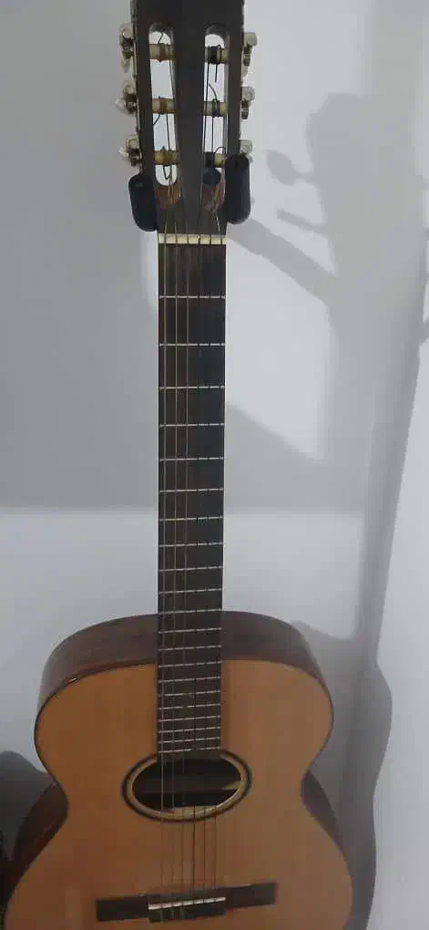 گیتار|گیتار، بیس، امپلیفایر|اردبیل, |دیوار