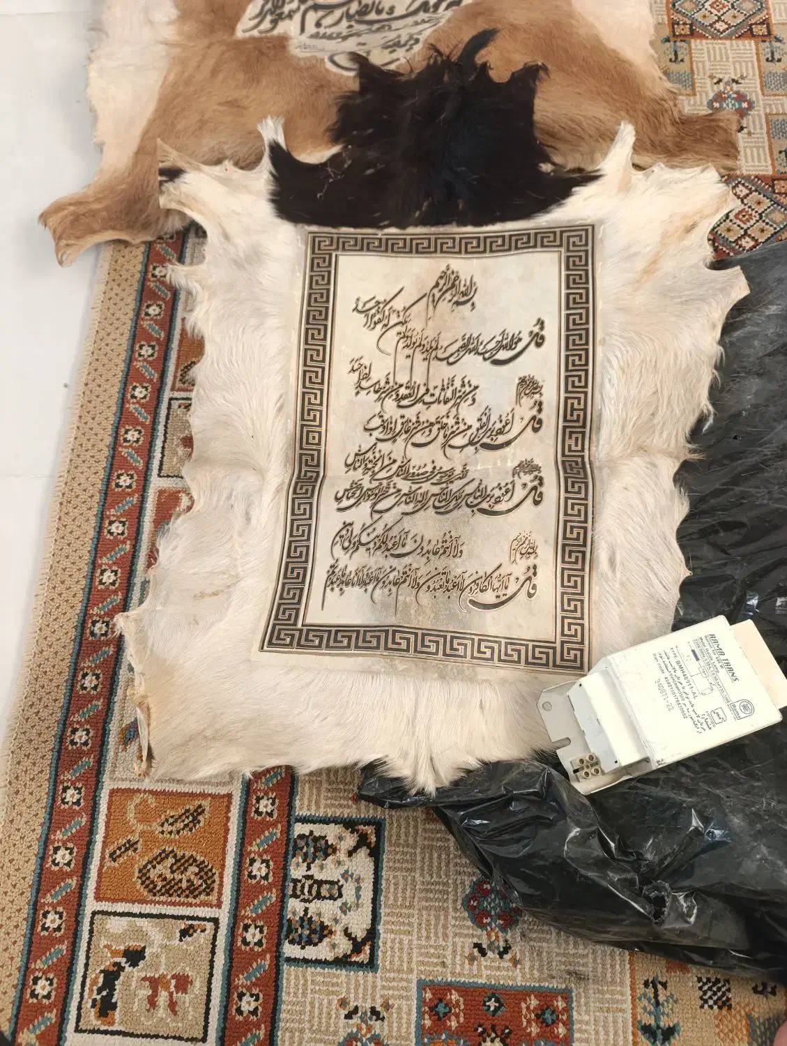 تابلو پوست|تابلو، نقاشی، عکس|شیراز, کوشک میدان|دیوار