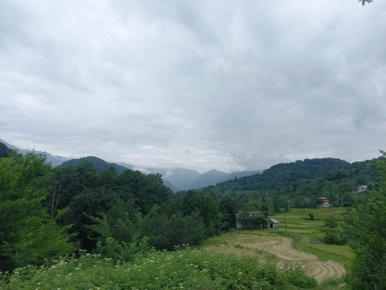 ۳۰۰ مترزمین در روستای کلوان،  شهرستان شفت.گیلان|فروش زمین و ملک کلنگی|احمدسرگوراب, |دیوار