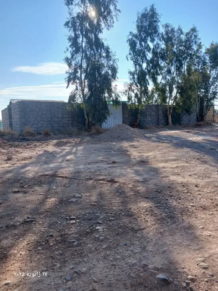 فروش زمین مناسب گلخانه کوچک|فروش دفتر صنعتی، کشاورزی، تجاری|گرمسار, |دیوار