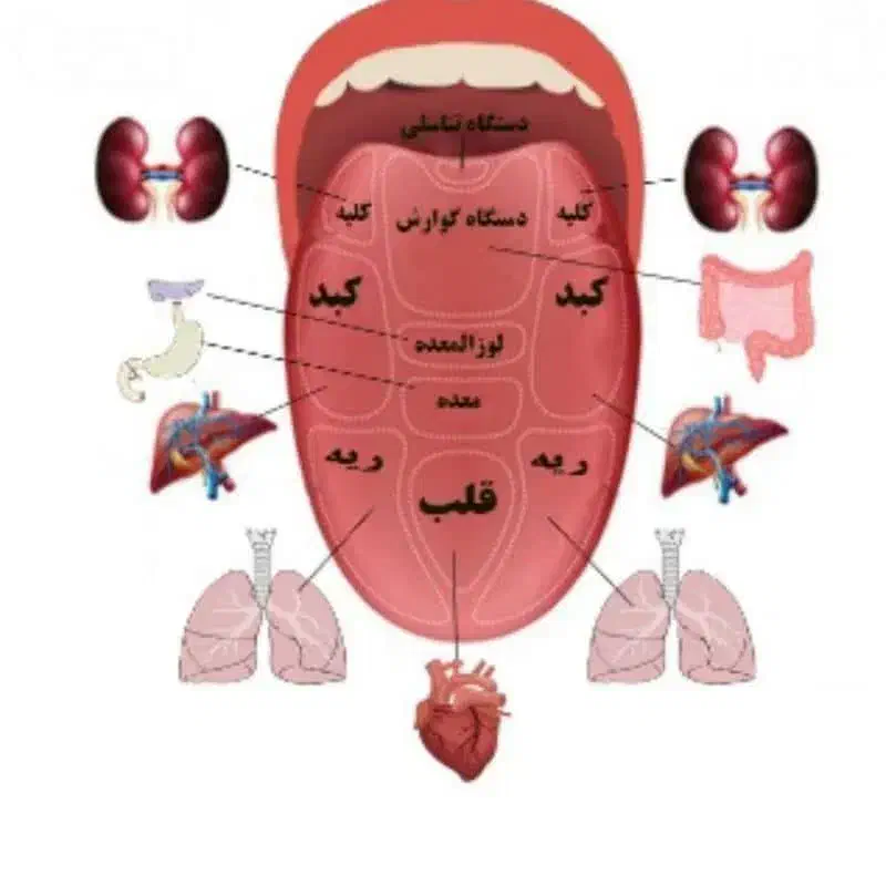 آموزش رایگان و آنلاین طب سنتی|خدمات آموزشی|اهواز, سپیدار|دیوار