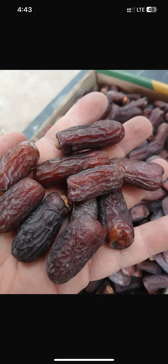 پیارم مجول|خوردنی و آشامیدنی|تهران, اختیاریه|دیوار