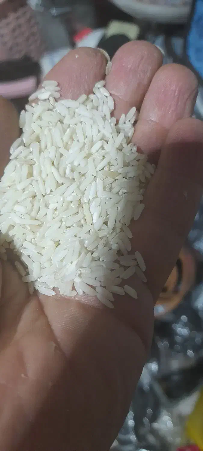 برنج شمال بهترین برنج|عمده‌فروشی|مشگین شهر, |دیوار