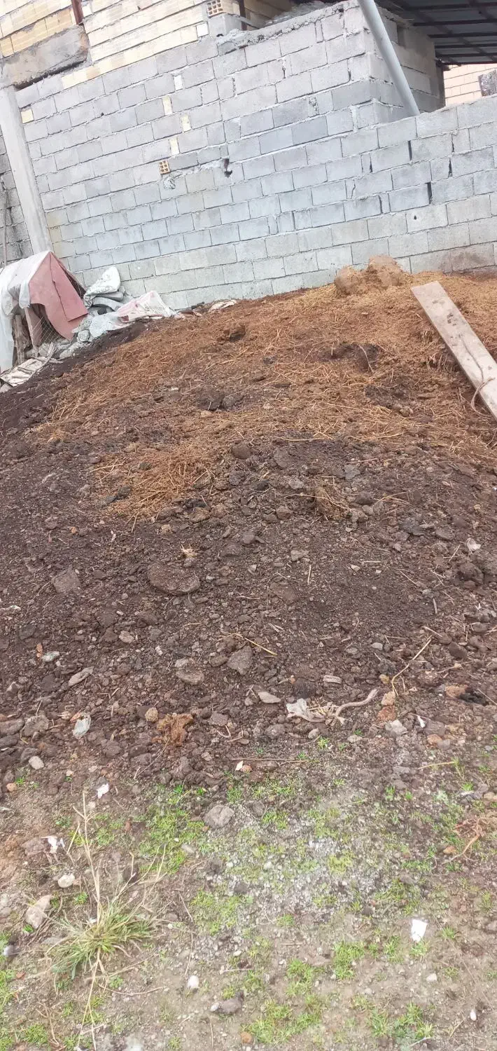 پهن گاو|لوازم جانبی حیوانات|تالش, هشتپر|دیوار