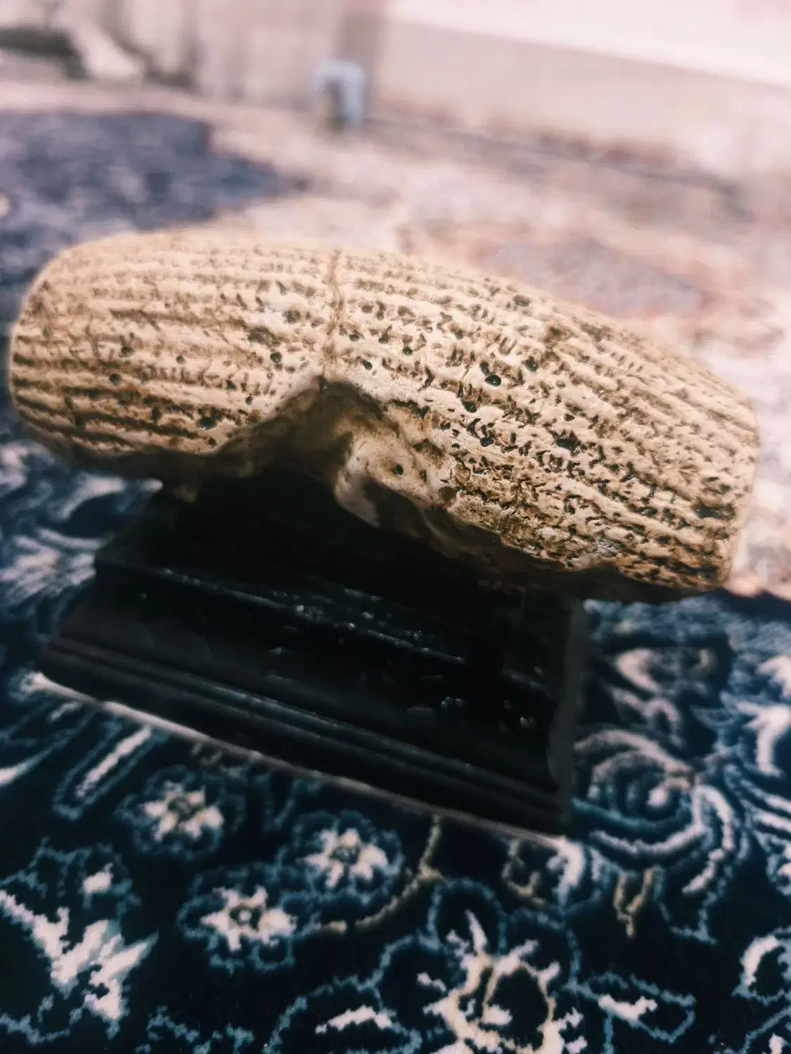 منشور کوروش و  مجسمه آن همراه  انگشتر اسکلتی|مجسمه، تندیس، ماکت|لار, |دیوار