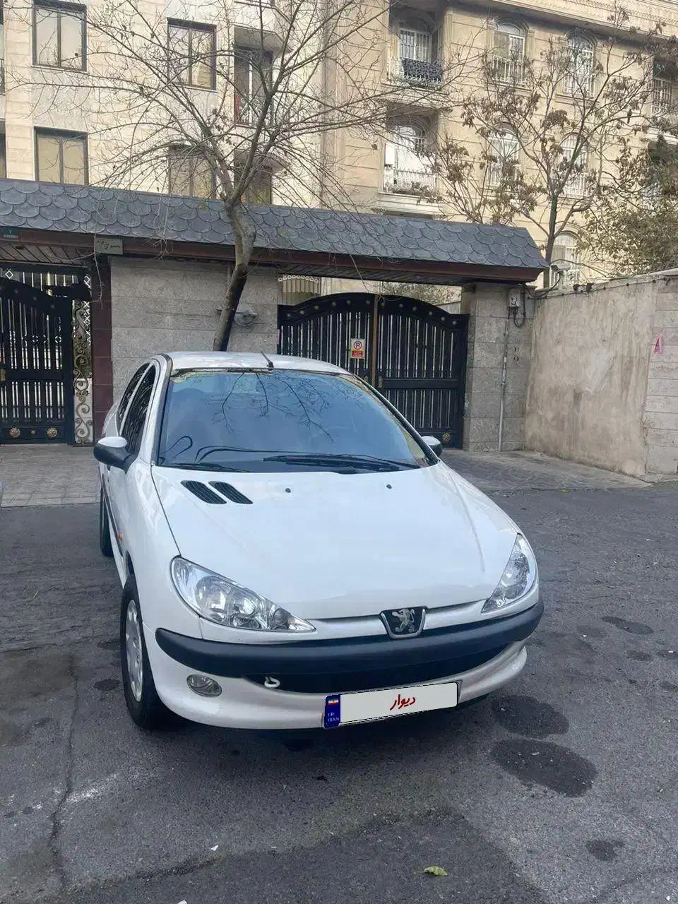 206sd|خودرو سواری و وانت|تهران, فردوس|دیوار