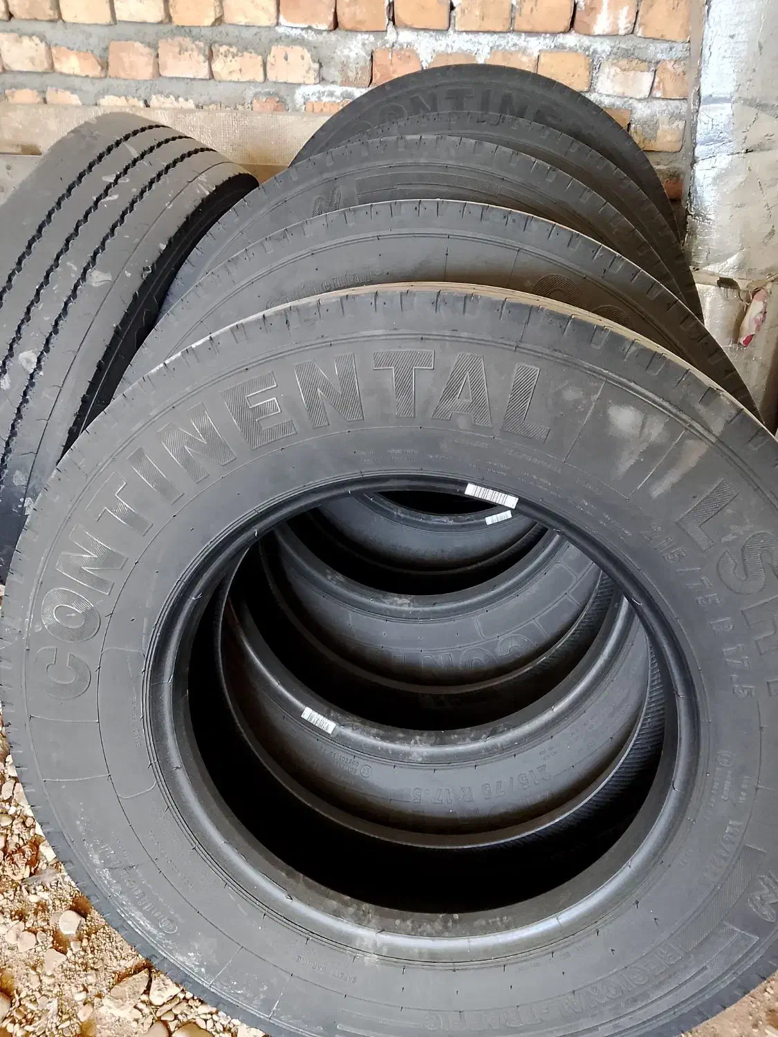 6 حلقه لاستیک|قطعات یدکی و لوازم جانبی|رباط‌کریم, رباط‌کریم|دیوار