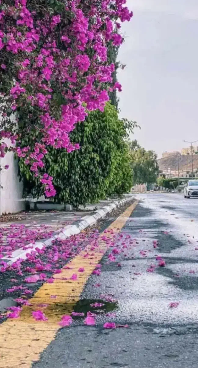 راهنمایی|فعالیت داوطلبانه|اهواز, آریاشهر|دیوار