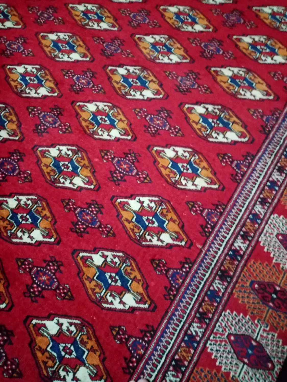 فرش دستباف ترکمن|فرش|گنبد کاووس, |دیوار