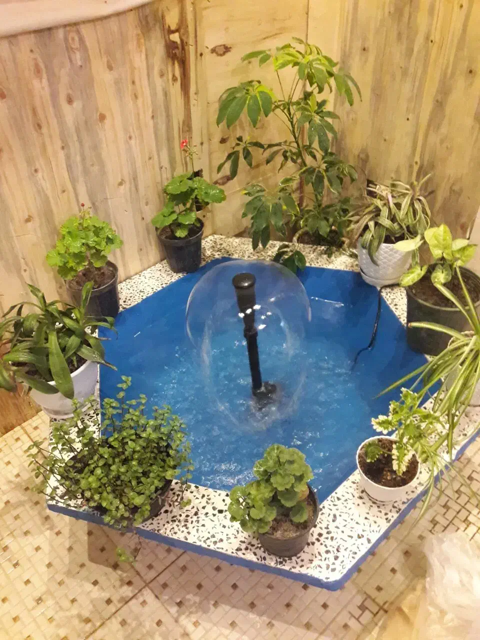 حوض گل|گل و گیاه طبیعی|نیشابور, فضل|دیوار