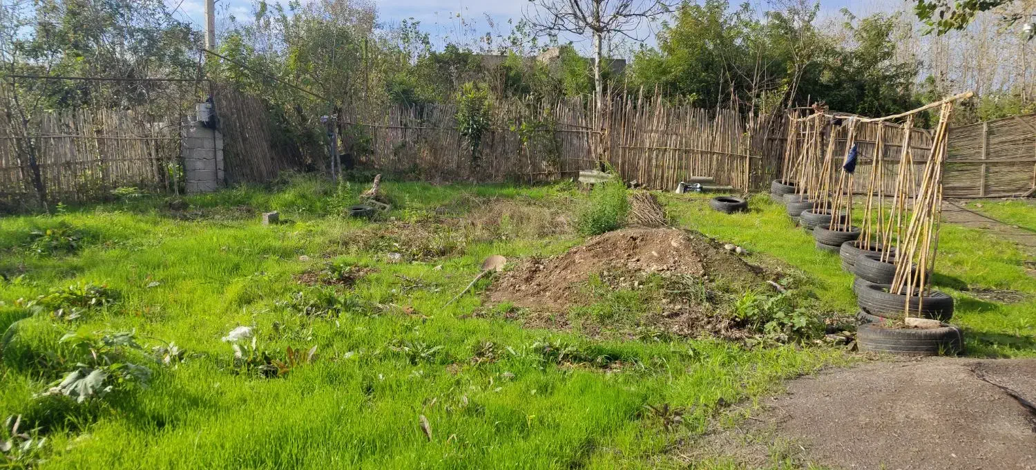 زمین ۲۰۰ متری خوش قیمت|فروش زمین و ملک کلنگی|رودبنه, |دیوار