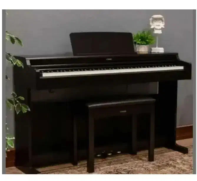 پنج سال خدمات پس از فروش پیانو پیانو یاماهاydp145|پیانو، کیبورد، آکاردئون|تهران, سعادت‌آباد|دیوار