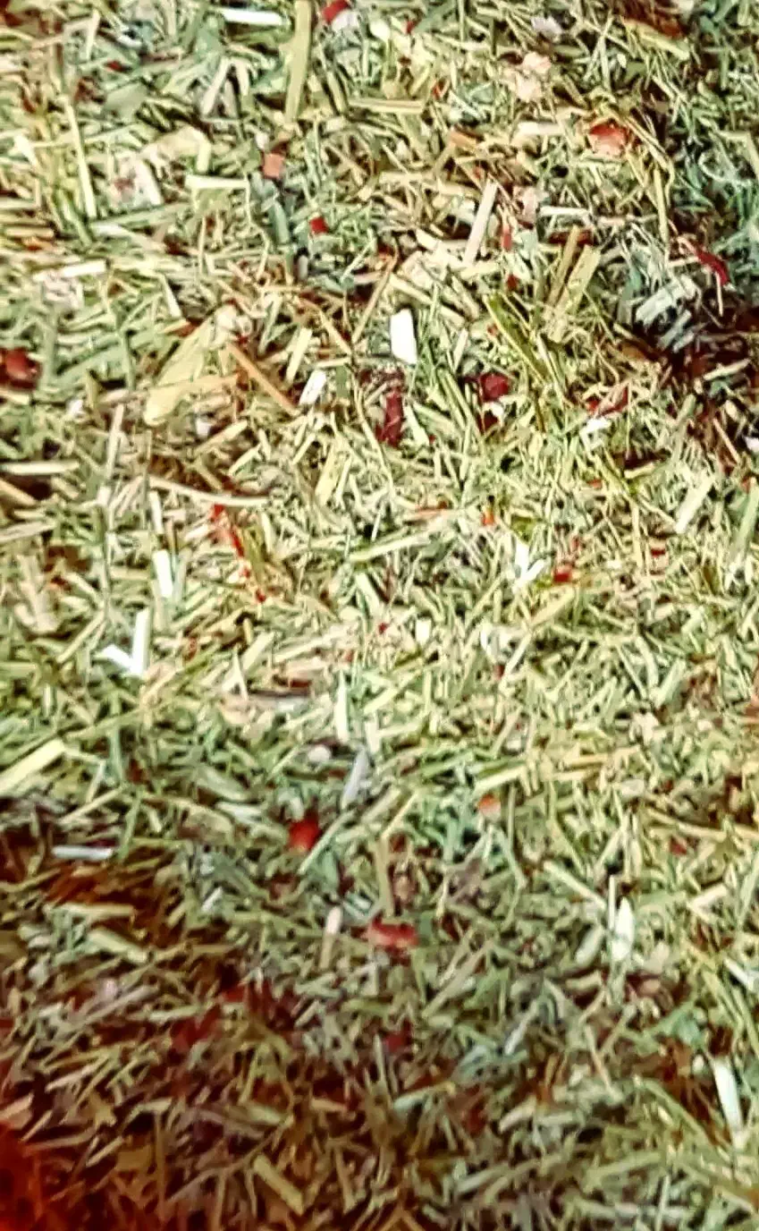 خارشتر خالص|لوازم جانبی حیوانات|گنبد کاووس, |دیوار