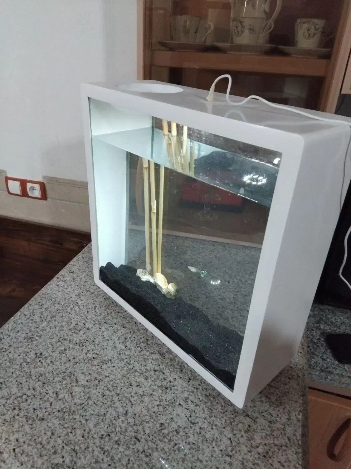 اکواریوم مدرن|ماهی|کرمان, |دیوار