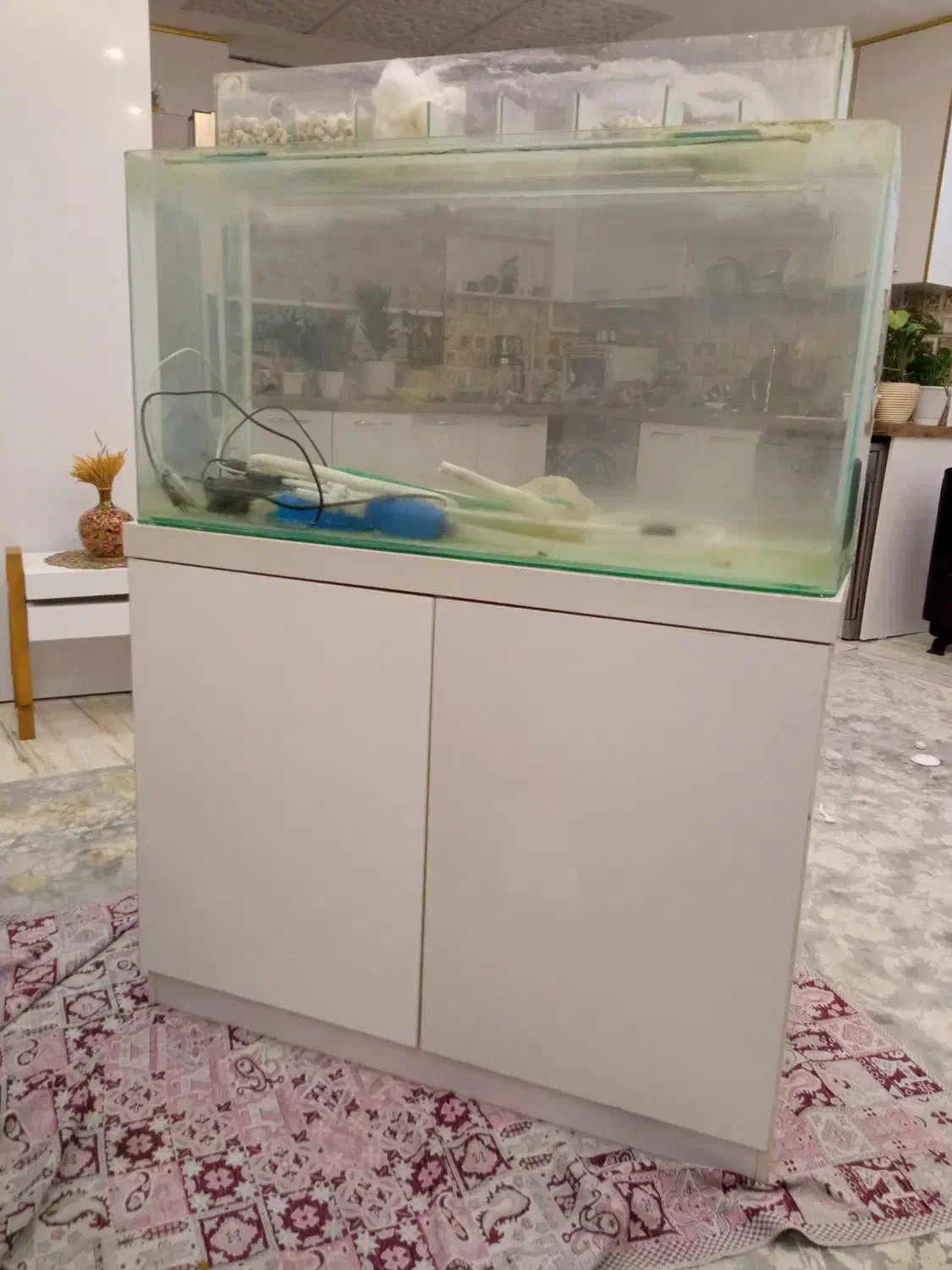 آکواریوم همراه با میز|ماهی|رشت, پیرکلاچای|دیوار