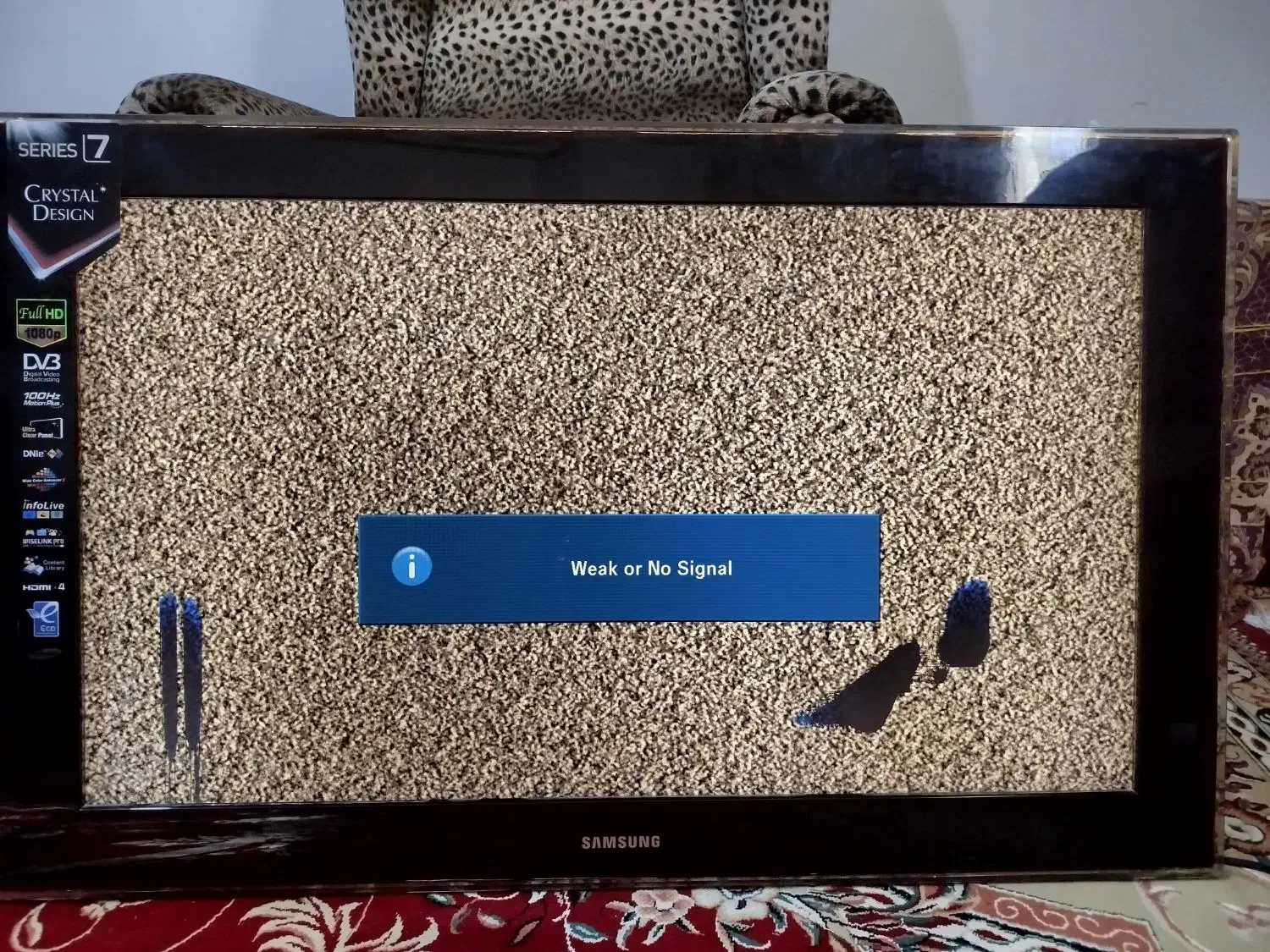 تلفزیون|تلویزیون و پروژکتور|قشم, |دیوار