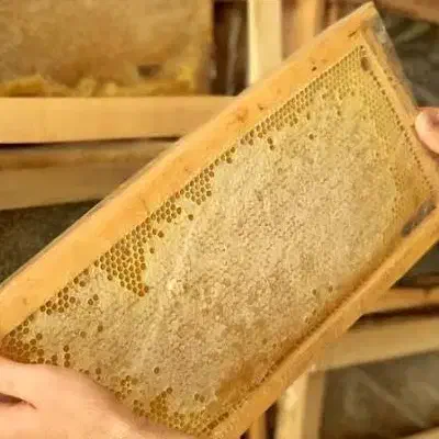 عسل اردبیل طبیعی|خوردنی و آشامیدنی|تهران, یافت آباد شمالی|دیوار