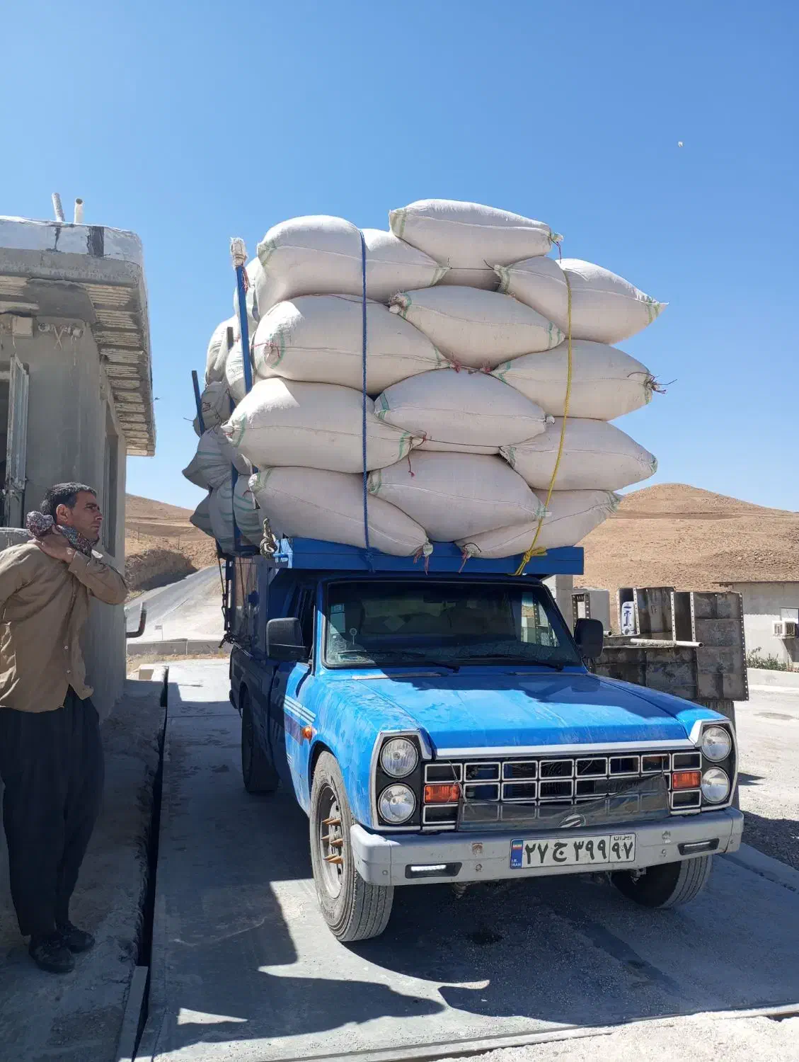 کاه گندم|لوازم جانبی حیوانات|هشتگرد, هشتگرد قدیم|دیوار