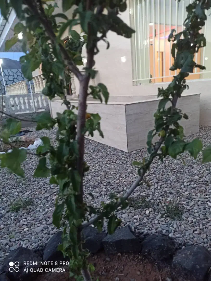 ویلای صفر با 170متر زیر بنا با استخر داخلی|فروش خانه و ویلا|صوفیان, |دیوار