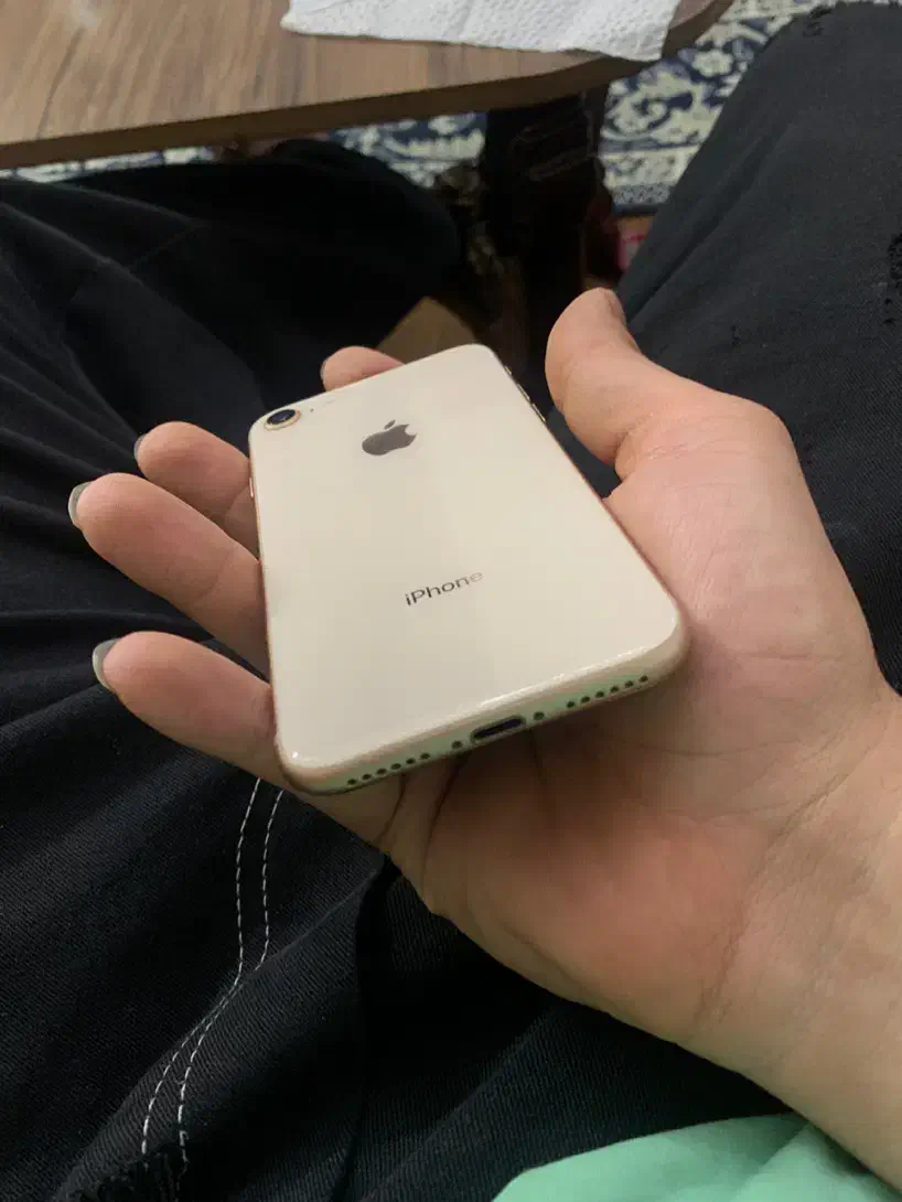 Iphone8|موبایل|قم, پردیسان|دیوار