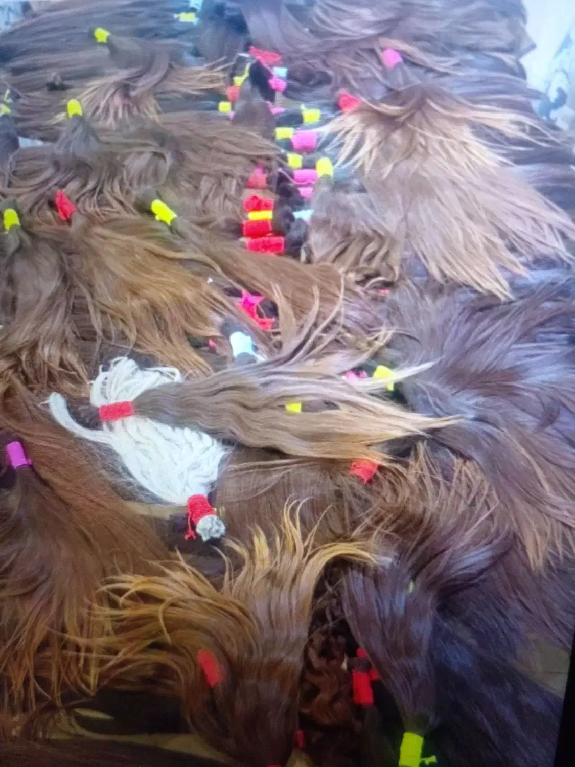 خریدار موهای خانمها|خدمات آرایشگری و زیبایی|نورآباد, |دیوار