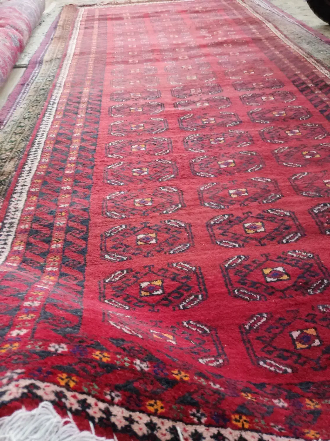 فرش دستباف|فرش|یزد, |دیوار