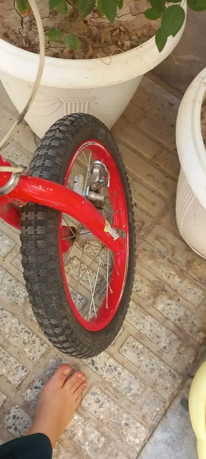 دوچرخه بچه گانه|دوچرخه، اسکیت، اسکوتر|شاهینشهر, شهرک گلدیس|دیوار