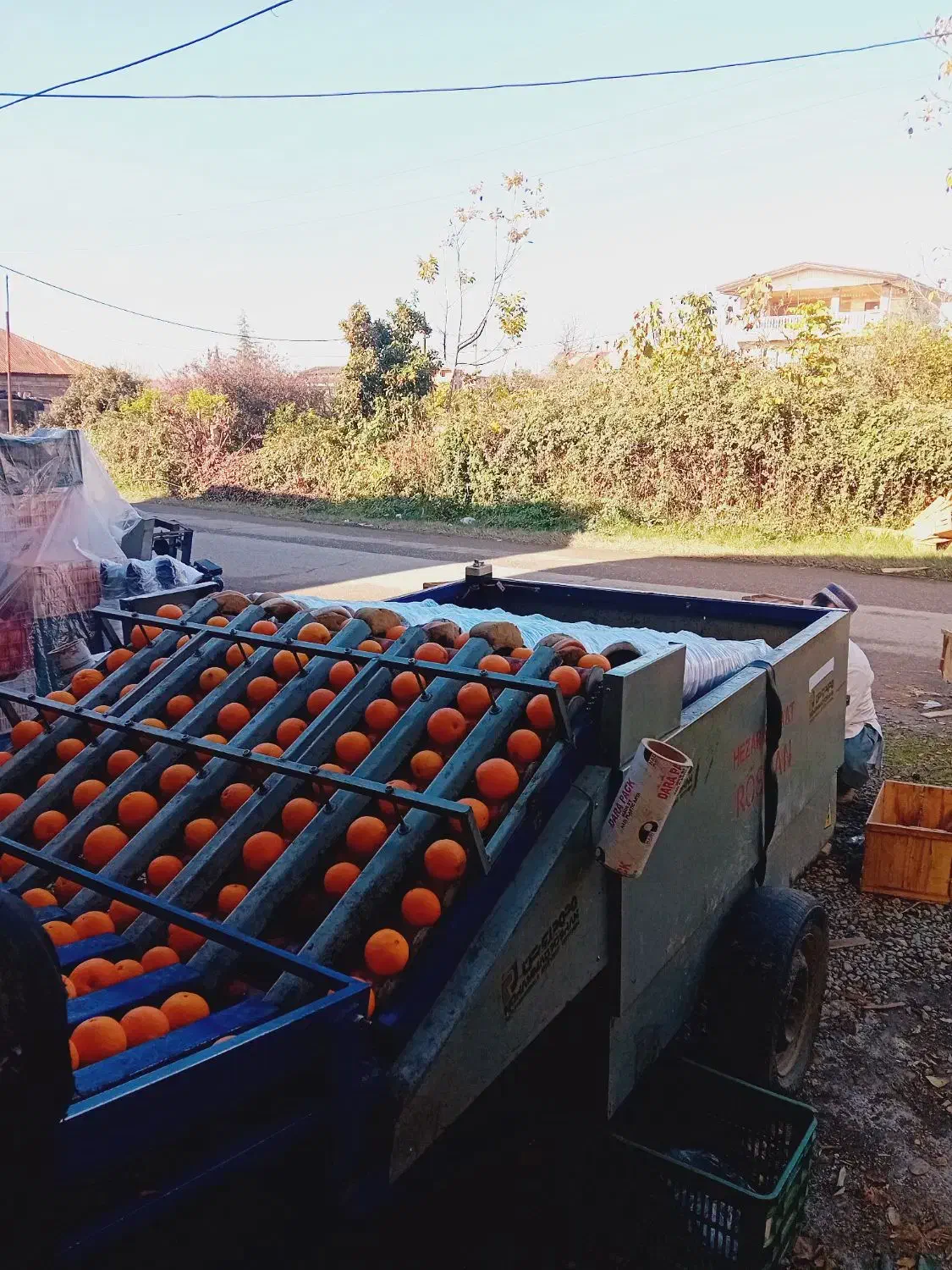 پلاستیک پیچی وگرمادرمانی|خدمات پیشه و مهارت|قائم‌شهر, |دیوار