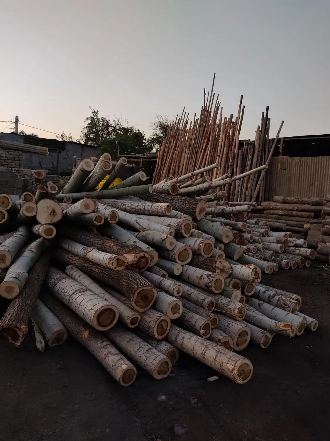 فروش انواع نردبان چوبی و درب چوبی|عمدهفروشی|مشکیندشت, |دیوار