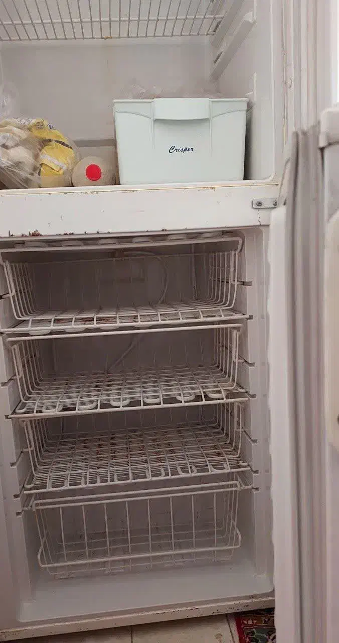 یخچال و فریزر دودرب|یخچال و فریزر|شیروان (خراسان), |دیوار