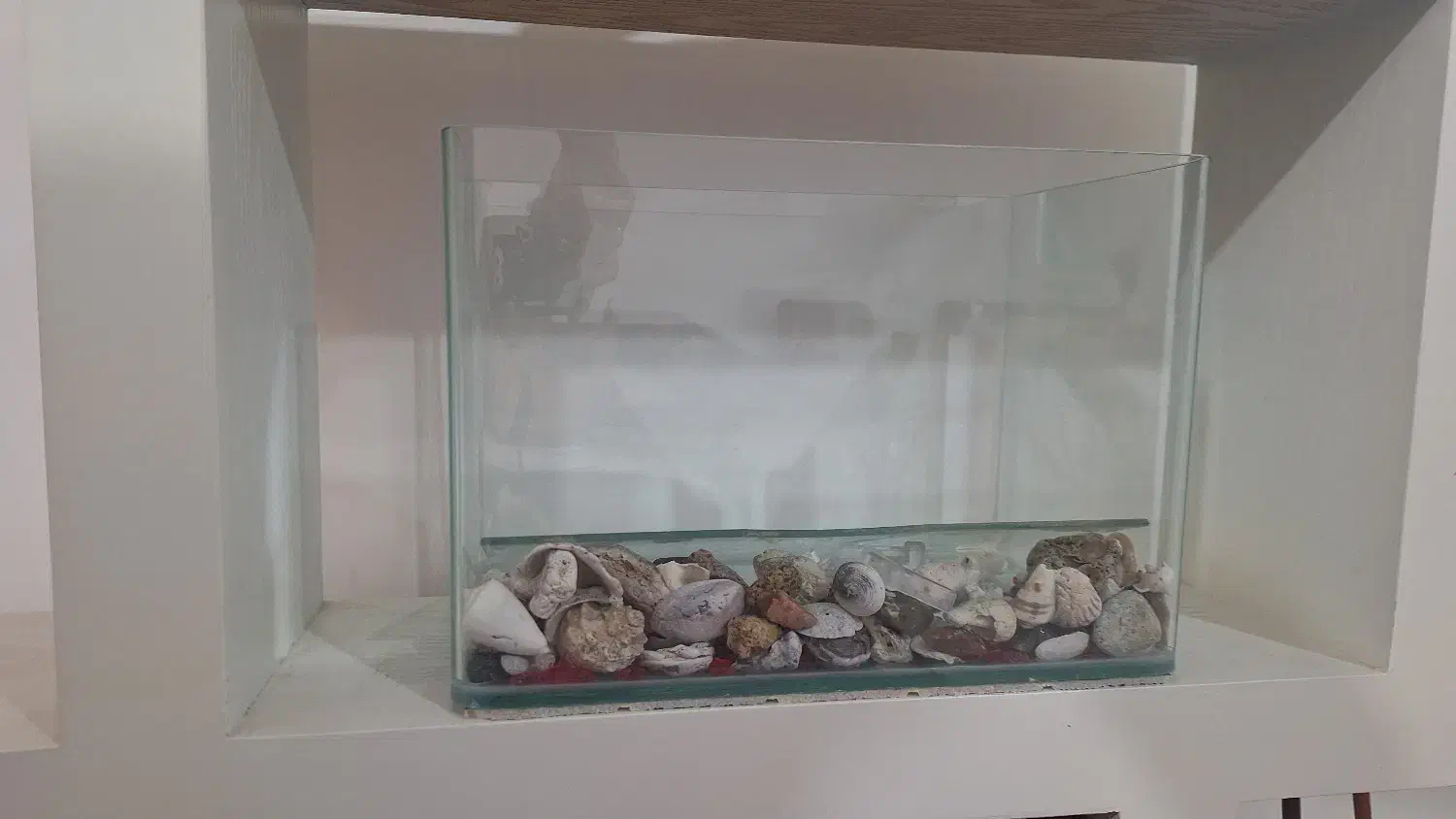 آکواریوم در حد نو|ماهی|بندرعباس, |دیوار