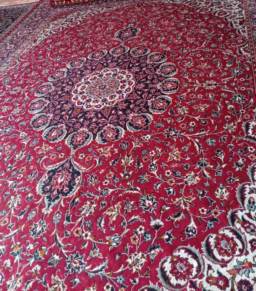 قالی دوازده متری|فرش|زاهدان, |دیوار