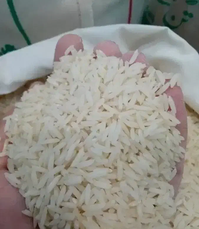 کارخانه برنج صدری ممتاز معطر|خوردنی و آشامیدنی|تهران, قیطریه|دیوار