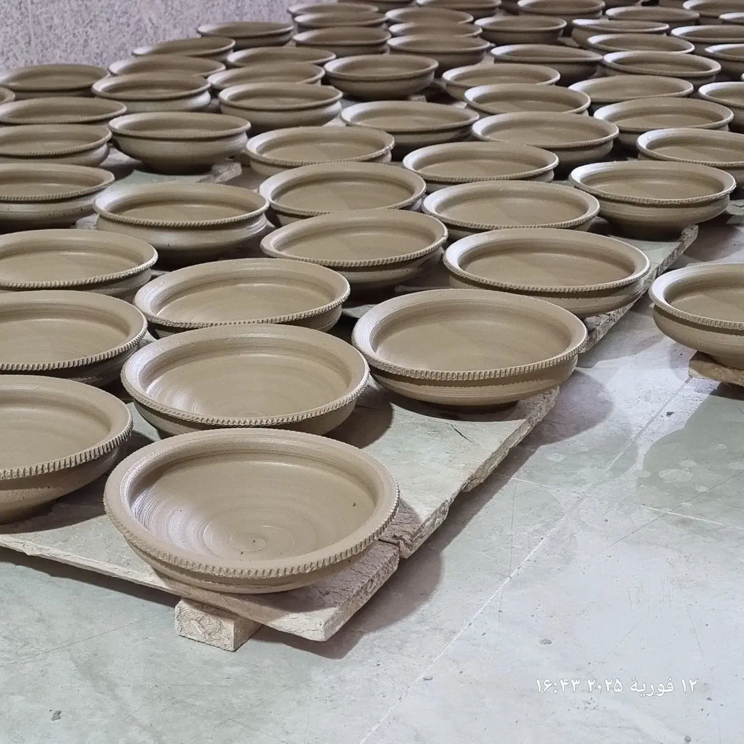 تولید جاسبزه در طرح های مختلف 15سانت و20سانت|فروشگاه و مغازه|لالجین, |دیوار